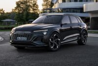 2025 Audi SQ8 Owners Manual